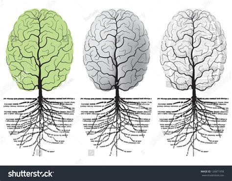 Vector Tree Formed In Cortex Of The Human Brain Roots Of Tree Formed