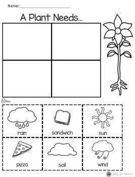 Plant Needs worksheet | Planting for kids, Teaching young children