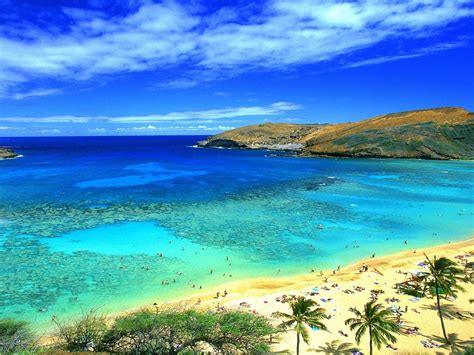free-download-honolulu-hawaii-beach-wallpaper-wallpapers13com