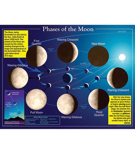 Phases Of The Moon Chart Grade 4 8 Carson Dellosa Publishing