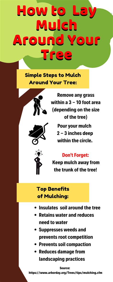 How To Lay Mulch Around Your Tree 1 Stop Landscape Supply