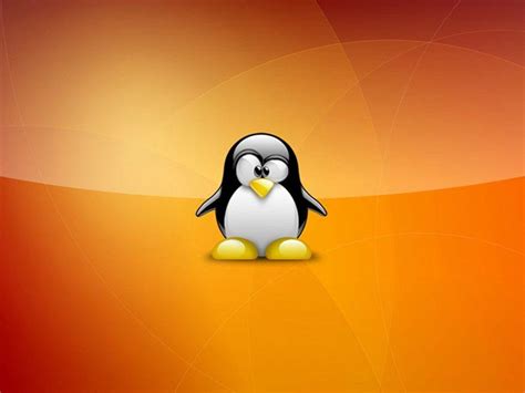 Best Linux Wallpapers Wallpaper Cave