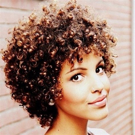 Curly Afro Hairstyles The Xerxes