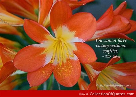 How women can save their man from the curse. Td Jakes Quotes Sayings. QuotesGram