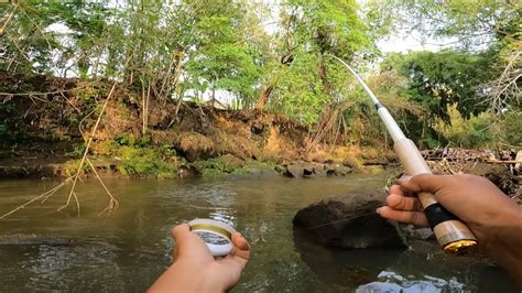 Mancing Umpan Cacing ‼️ Tak Di Sangka Dapat Ikan Baung Besar Youtube