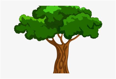 Tree Clipart Clipart Mango Tree - Cartoon Big Tree Png - 640x480 PNG