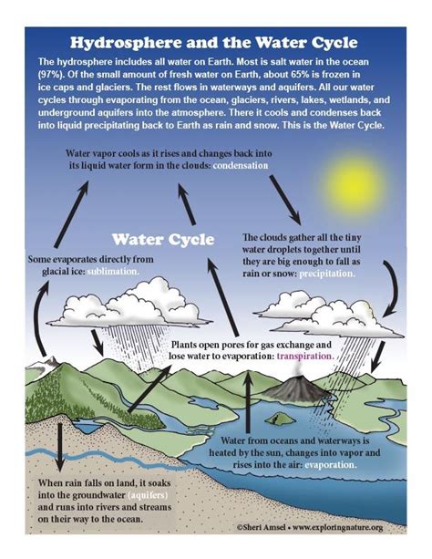 Hydrosphere And The Water Cycle Diagram Color Learning Science