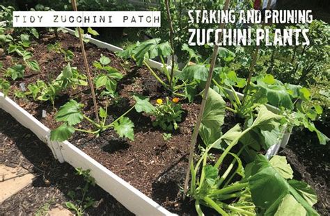 Pin on garden diy