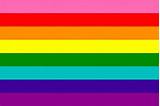 The designs differ, but many of the colors are based on the spectral colors of the visible light spectrum. What all the different LGBTQ+ flags actually mean ...