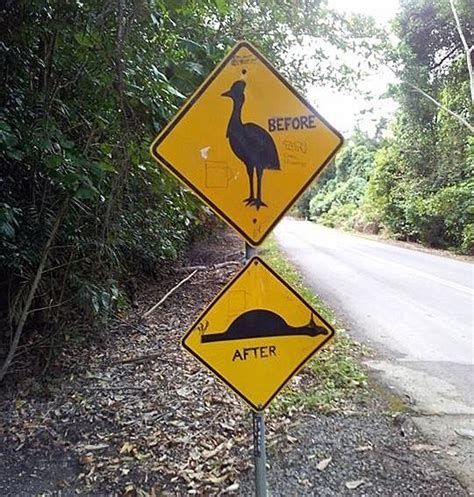 The Cassowary Warning Australia Funny Meanwhile In Australia Funny