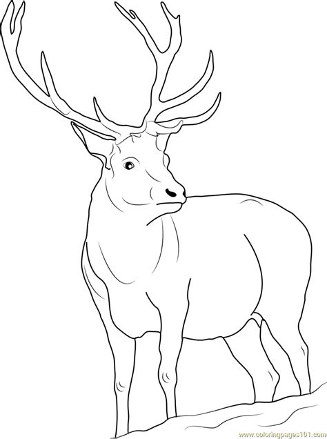 Along with her sister anna, she was the foundation for the most successful animated feature film of all time in terms of nominal box office. Reindeer Coloring Page for Kids - Free Deer Printable ...