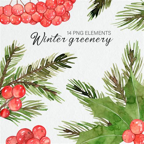 Watercolor Christmas Greenery Clipart Winter Greenery Ho Inspire