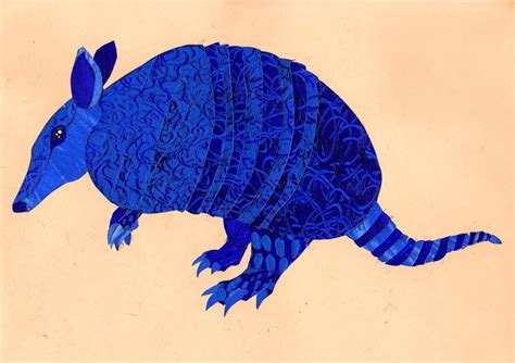 Blue Armadillo by Purpledragongirl.deviantart.com on ...