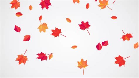 Falling Autumn Leaves Animation Looped Stock Footage Video 100