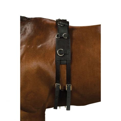 Kincade Deluxe Equigrip Lunge Roller Black At Burnhills