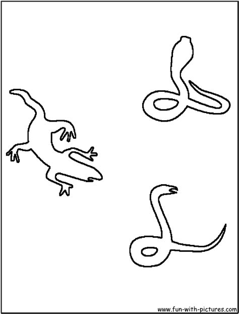 reptiles coloring page