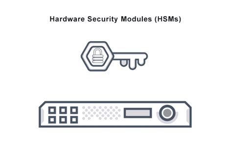 What Are Hardware Security Modules Definition And Faqs Avi Networks