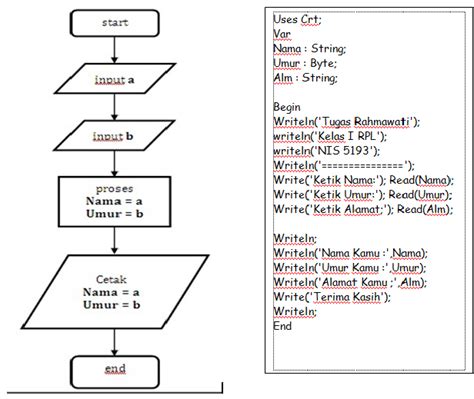 Contoh Penulisan Algoritma Dalam Bentuk Pseudocode Dan Flowchart Vrogue