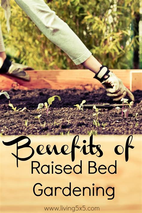 The Benefits Of Raised Bed Gardening Raised Garden Beds Organic