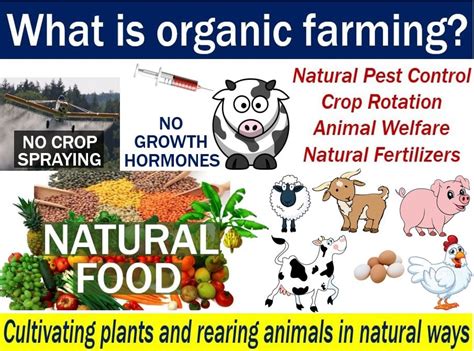 Organic Farming Definition And Meaning Market Business News
