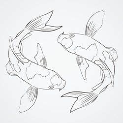 Sign in | Koi art, Koi fish drawing, Fish sketch