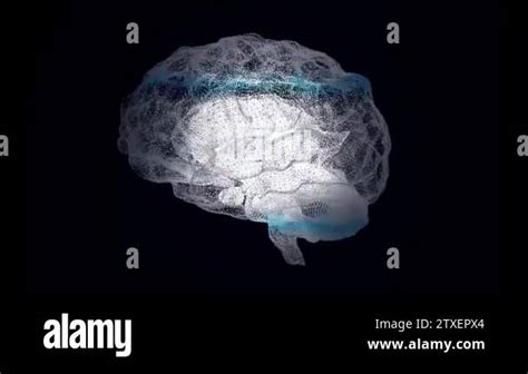 3d Render Xray Style Image Of Human Brain Rotating Human Brain Being