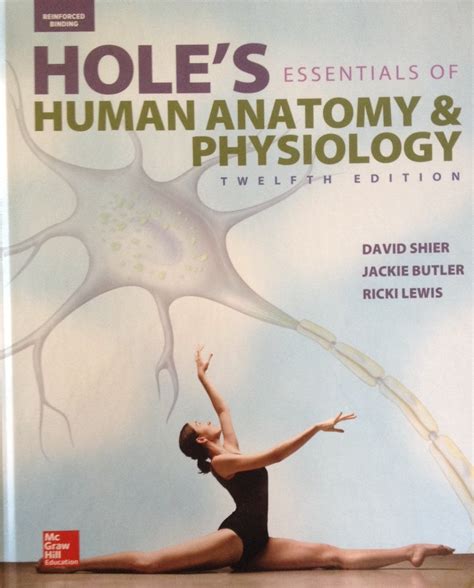 Holes Essentials Of Human Anatomy And Physiology Nelson