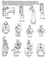 Images of Exercises Back Pain