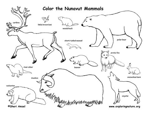 Select from 35970 printable coloring pages of cartoons, animals, nature, bible and many more. Canadian Territory - Nunavut