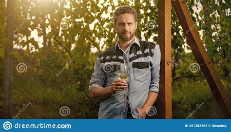 Male Vineyard Owner Professional Winegrower On Grape Farm Stock Image