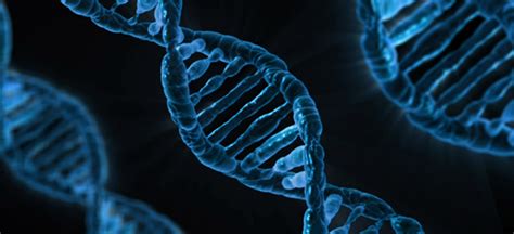 Some gene faults can increase the risk of more than one type of cancer. Large cancer genetic study finds genetic link between ...