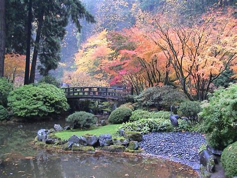 Autumn Japanese Garden With Maples Colors Bushes Gardens