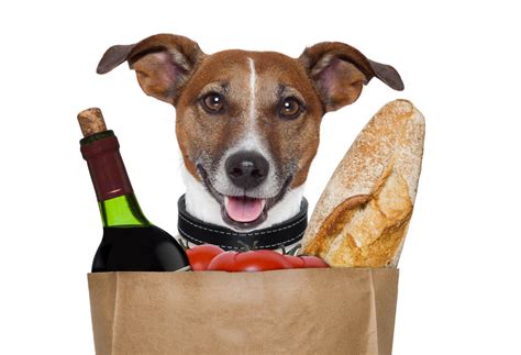 Special price ₹810.00 regular price ₹900.00. Are Dogs Allowed in Grocery Stores? - http://www.dogvills.com