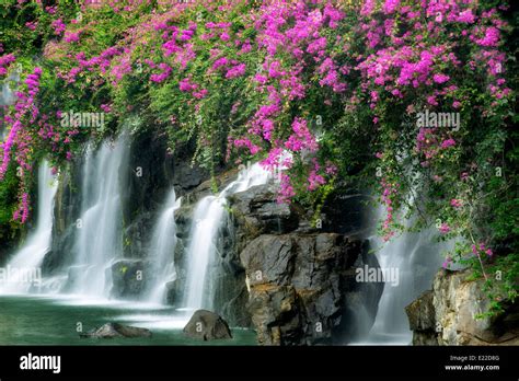 Waterfalls With Boganvilla Flowers Maui Hawaii Stock Photo Alamy