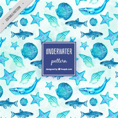 Watercolor Sea Life Pattern Vector Free Download