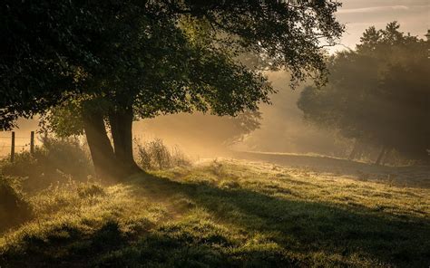 P Mist Sun Rays Ireland Grass Sunrise Road Trees Landscape Rays Sun Nature Shrubs