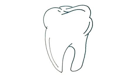 How To Draw A Tooth My How To Draw