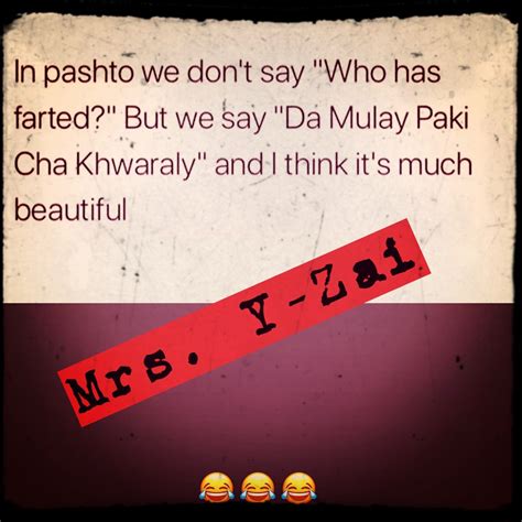 Pashto Funny Quotes Shortquotescc