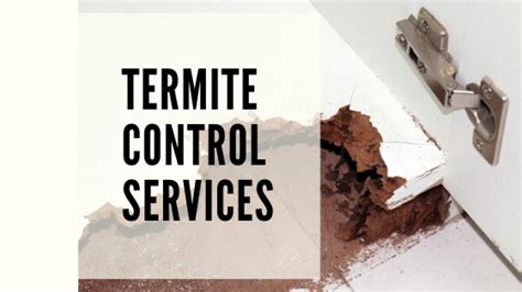 Is the ultimate resource for termite pest control. Pin on Termite Pest Control