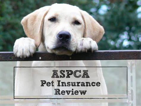 It is one of the few pet insurance. ASPCA Pet Insurance Review: Coverage by a 150-Year-Old Organization