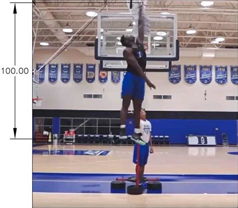 This is an exercise that almost every nba player does. How Much Force Does Zion Williamson's Vertical Jump ...