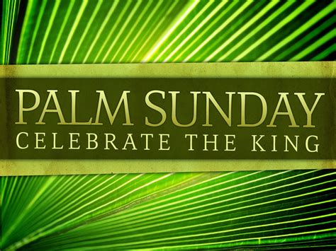 Studying Gods Word On A Sunday Morning Palm Sunday Passion Sunday B