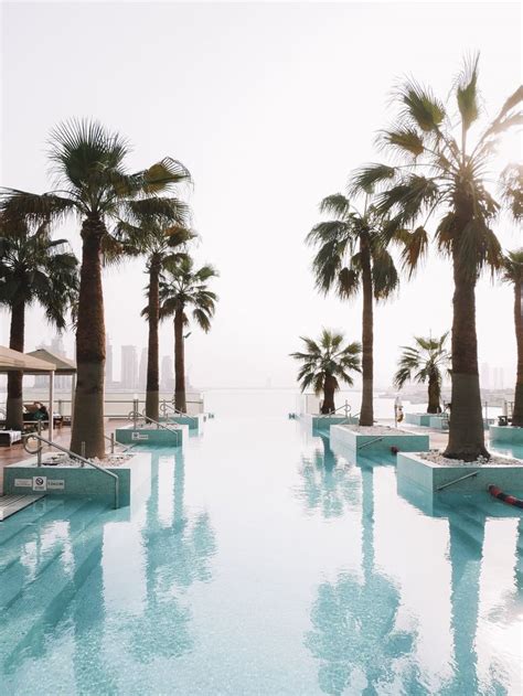 An Empty Swimming Pool Surrounded By Palm Trees