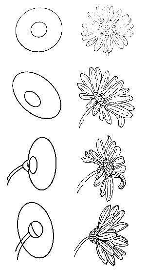 How to draw flowers for beginners step by step. How to draw a simple flower step by step with pencil: 18 ...