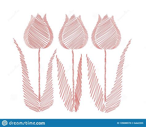 Drawn By Hand Line In The Shape Of A Tulips Flowers Vector On White