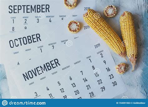 Monthly Calendars Royalty Free Stock Image 63297154