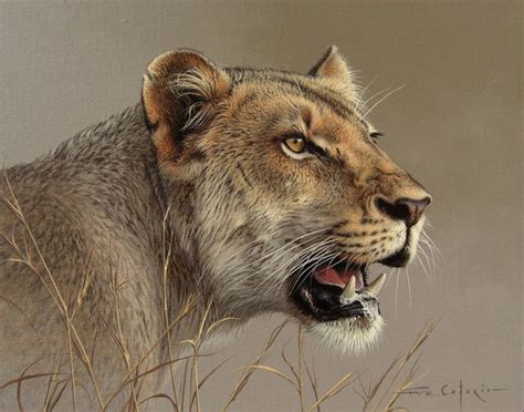 Artstation Lioness Study Fuz Caforio Lion Painting Animal Art