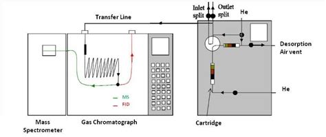 Schematic Representation Of The Tdgcfid Ms System Download