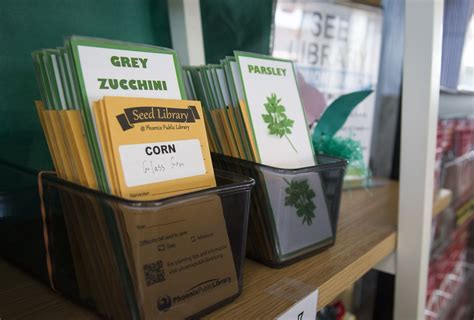 Atlas Obscura Why So Many Public Libraries Are Now Giving Out Seeds