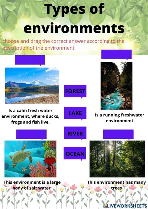 Types Of Environment 823104 Paola Andrea Ramírez Z